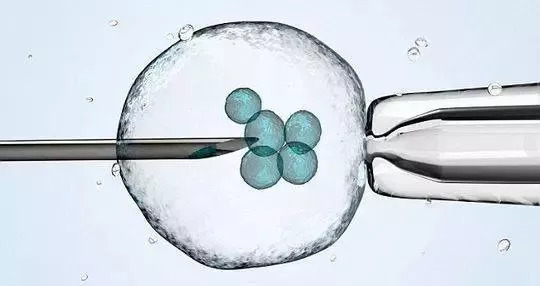 冷冻胚胎移植的过程是怎样的？